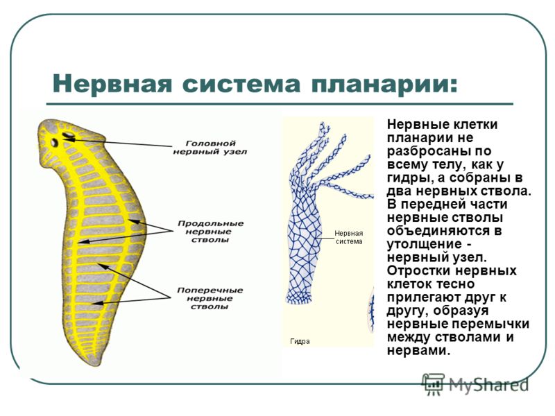 Кракен сайт что это