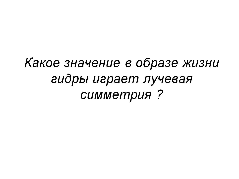 Впн чтобы зайти на кракен